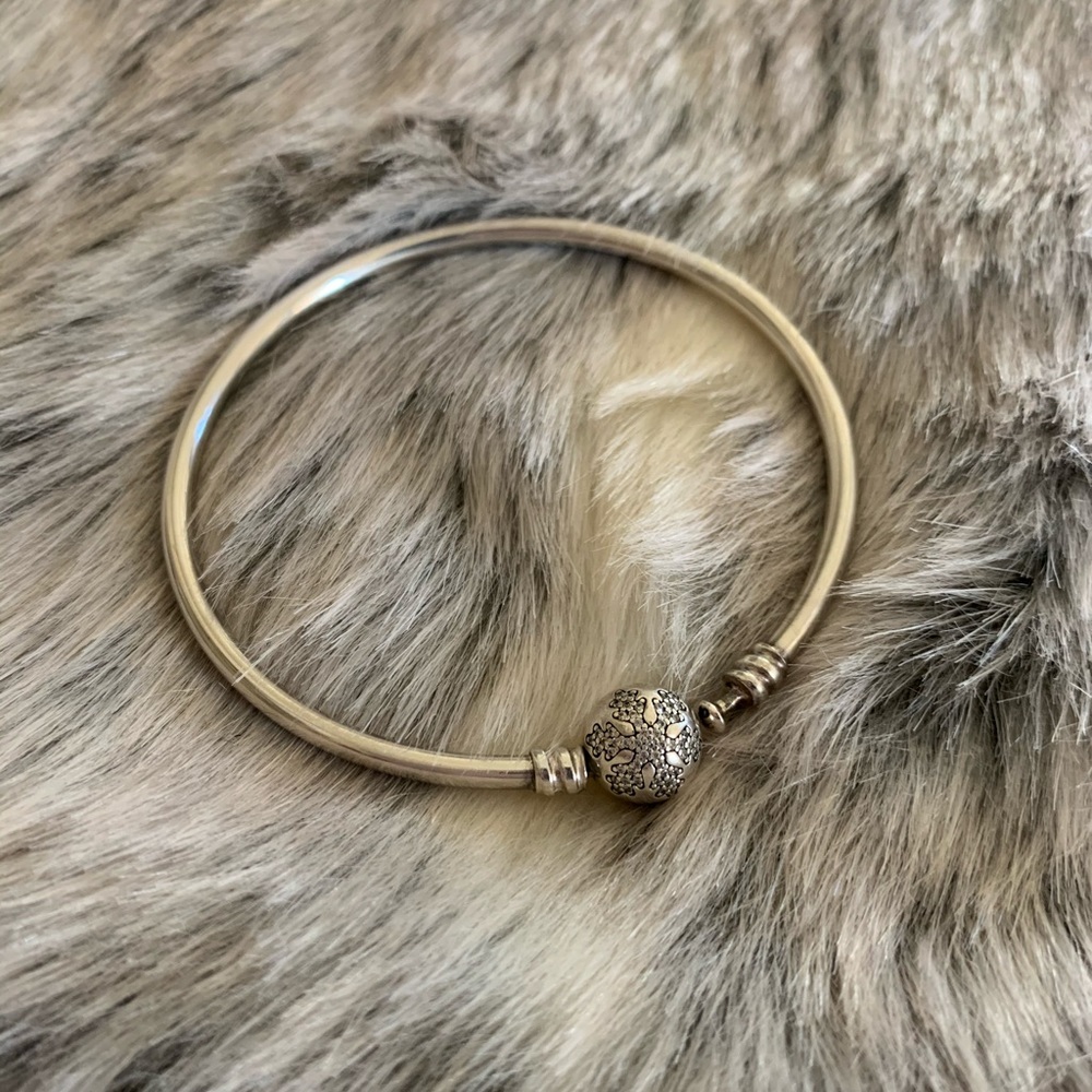 Pandora bracelet comes with box